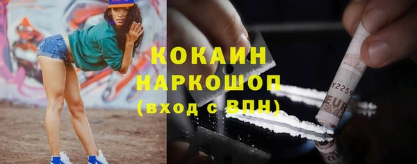 spice Алзамай