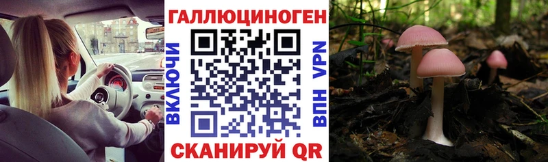 Псилоцибиновые грибы Cubensis  Уссурийск 